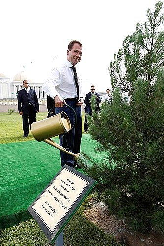 Дмитрий Медведев посадил дерево на аллее Почётных гостей.