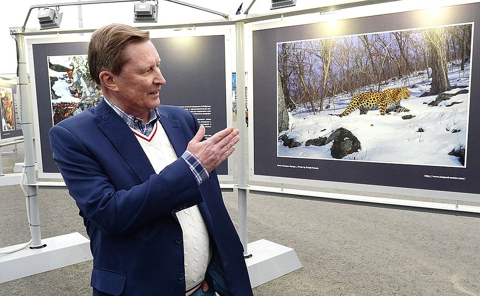 Sergei Ivanov visited a photo exhibition on tigers and leopards.