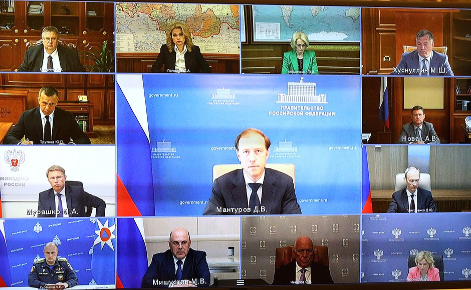 Participants in the meeting with Government members (via videoconference).
