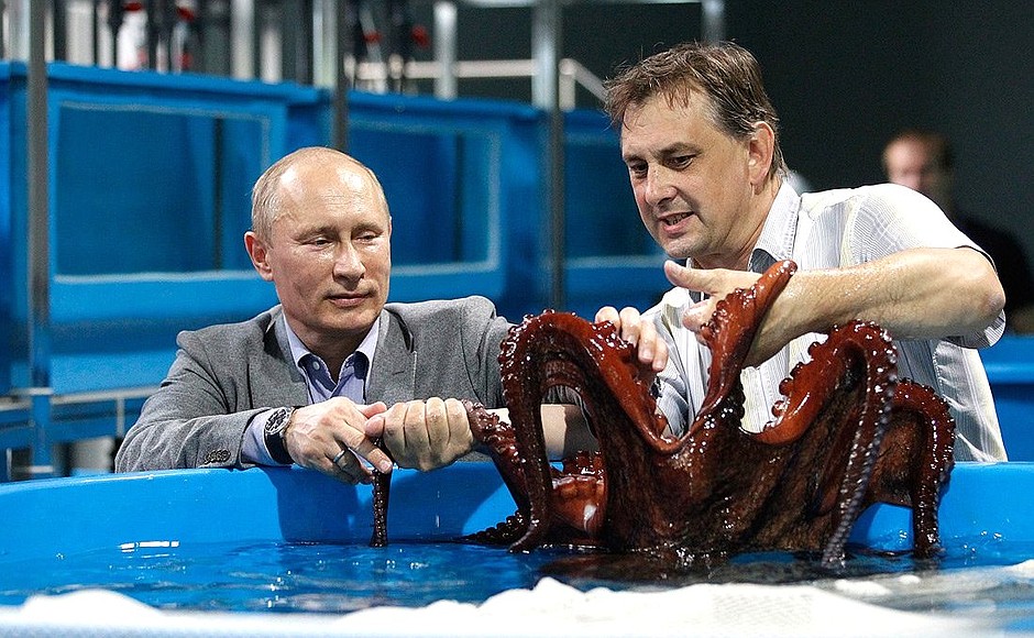 Во время посещения острова Русский Владимир Путин осмотрел лабораторию по выращиванию рыб и осьминогов.