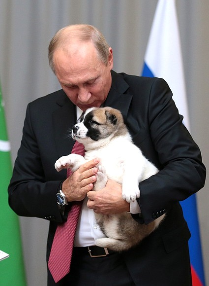 Президент Туркменистана Гурбангулы Бердымухамедов подарил Владимиру Путину щенка туркменского алабая.