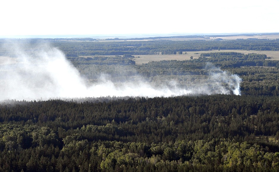Areas of the Chelyabinsk Region damaged by wildfires.