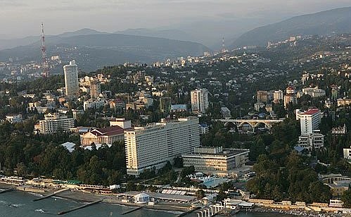 View of the centre of Sochi and a flock of birds.