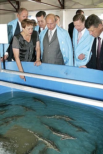 Visit to the Bios sturgeon-breeding research and production centre. With Head of the center Lydia Vasilyeva.