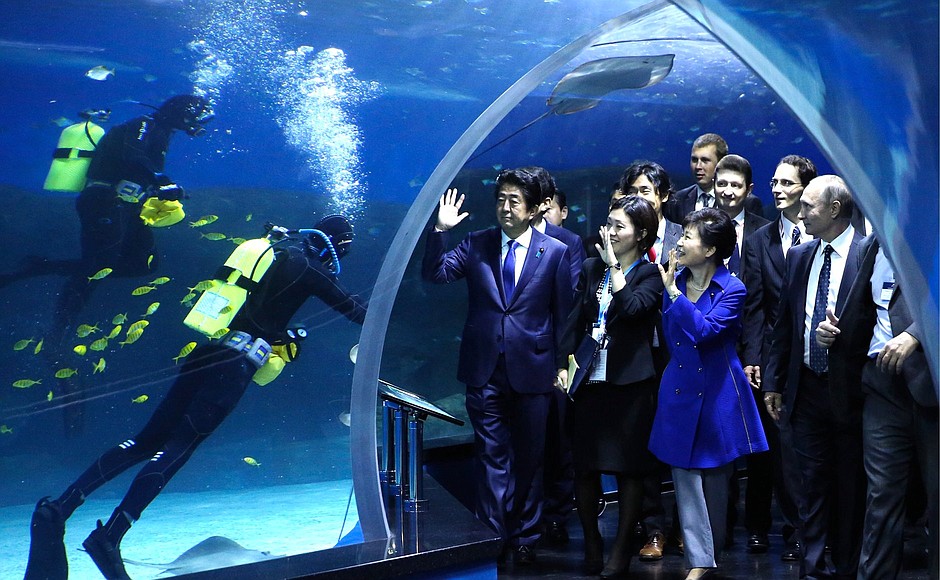 Visiting the Primorye Oceanarium of the Far Eastern branch of the Russian Academy of Sciences.