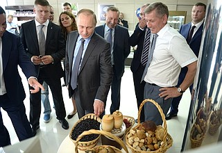 Во время посещения Дмитрогорского мясоперерабатывающего завода.
