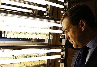 Во время осмотра биотехнологического комплекса компании «АгроПарк».