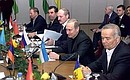 President Vladimir Putin at the informal CIS summit.