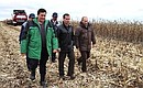 Дмитрий Медведев и Председатель Правительства Владимир Путин во время посещения сельскохозяйственного предприятия «Родина». Фото РИА «Новости»