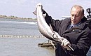 President Putin visiting a fishing company.
