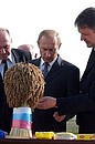 ПОСЕЛОК РИСООПЫТНЫЙ. Во время посещения рисоводческого хозяйства. На фото справа – губернатор Краснодарского края Александр Ткачев.
