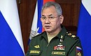 Defence Minister Sergei Shoigu at the expanded meeting of the Defence Ministry Board. Photo: RIA Novosti