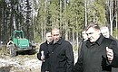 Посещение рабочей делянки лесозаготовительной компании «Лузалес». С генеральным директором компании Николаем Семенюком.