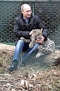 At the Persian Leopard Breeding and Rehabilitation Centre.