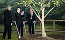 Tree-planting ceremony marking the fifth anniversary of the Shanghai Cooperation Organisation. Photo: Sergey Guneev, RIA Novosti