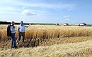 В ходе посещения сельскохозяйственного производственного кооператива «Россия» Владимир Путин наблюдал за уборкой озимого ячменя.