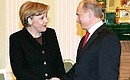 Перед началом встречи с Федеральным канцлером ФРГ Ангелой Меркель.