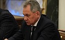 Defence Minister Sergei Shoigu at a meeting with permanent members of the Security Council.