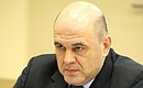 Head of the Federal Taxation Service Mikhail Mishustin.