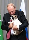 Президент Туркменистана Гурбангулы Бердымухамедов подарил Владимиру Путину щенка туркменского алабая. Фото ТАСС