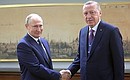 With President of Turkey Recep Tayyip Erdogan. Photo: Sergey Guneev, RIA Novosti