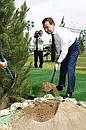 Дмитрий Медведев посадил дерево на аллее Почётных гостей.