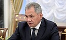 Defence Minister Sergei Shoigu at a meeting with permanent members of the Security Council.