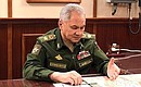 Defence Minister Sergei Shoigu. Photo: Alexei Danichev, RIA Novosti