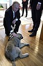 President of the Republic of Serbia Aleksandar Vucic gave Vladimir Putin a Sarplaninac puppy.