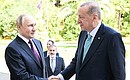 Before Russian-Turkish talks. With President of the Republic of Turkiye Recep Tayyip Erdogan. Photo: Alexei Nikolskiy, RIA Novosti