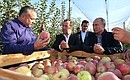 Visit to the Rassvet agricultural company. With Sady Stavropolya Board Chairman Aidyn Shirinov (left), Prime Minister Dmitry Medvedev and Minister of Agriculture Dmitry Patrushev.