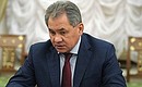 At a meeting with permanent members of the Security Council. Defence Minister Sergei Shoigu.
