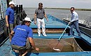 Во время посещения рыбоводного завода Каспийского научно-исследовательского института рыбного хозяйства Дмитрий Медведев выпустил в Волгу несколько молодых осетров.