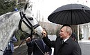 Президент Киргизии Сооронбай Жээнбеков подарил Владимиру Путину орловского скакуна и киргизскую борзую тайган.