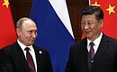 With President of the People’s Republic of China Xi Jinping before Russian-Chinese talks. Photo: TASS