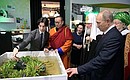 Владимир Путин посетил выставку «Россия, устремлённая в будущее» .