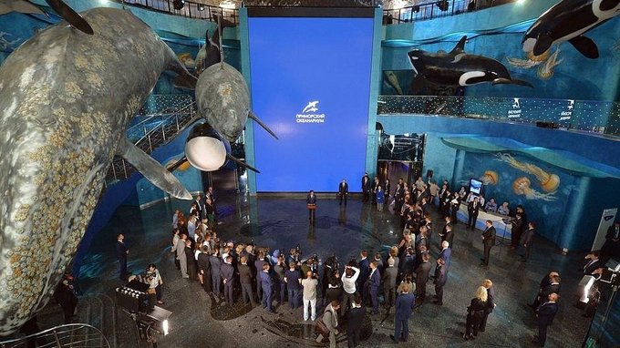 Выступление на церемонии открытия Приморского океанариума Дальневосточного отделения Российской академии наук
